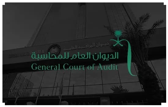 الديوان العام للمحاسبة